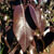 Edgedell Pear