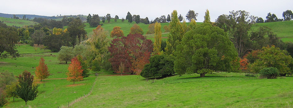 consult Small Tree Farm